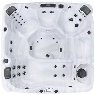 Avalon-X EC-840LX hot tubs for sale in Lapeer